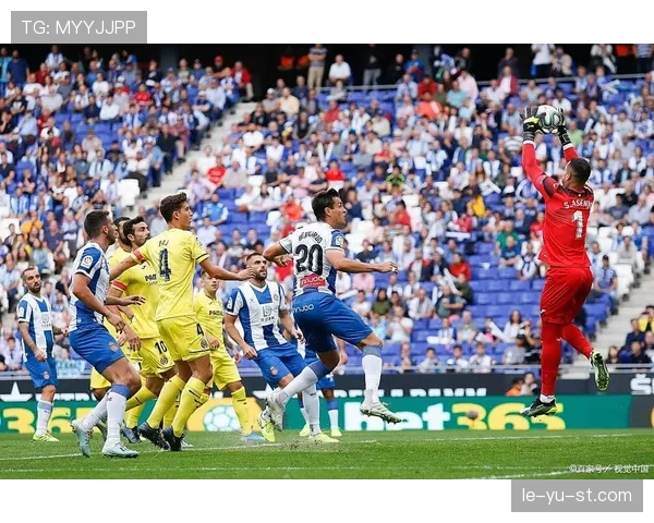 南特新赛季能否逆袭？重返法甲巅峰成焦点