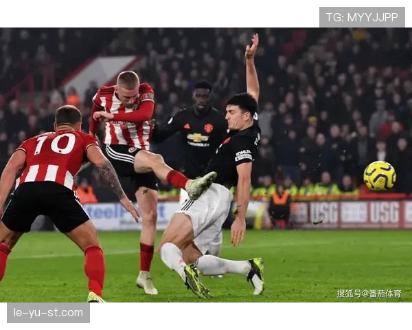 谢菲联启动重建计划，全力冲击重返英超