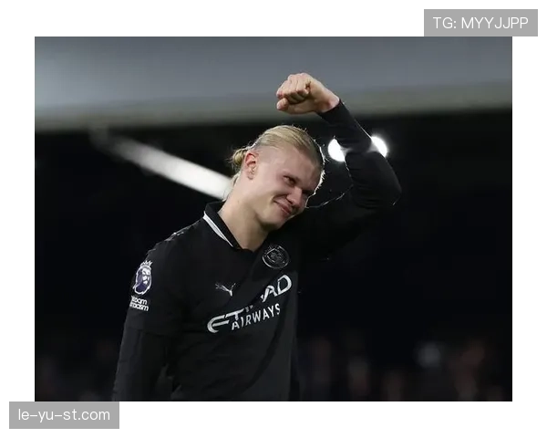 哈兰德单赛季进球纪录